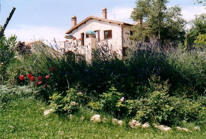Villa Casale Santomanno Acquasparta Exterior foto
